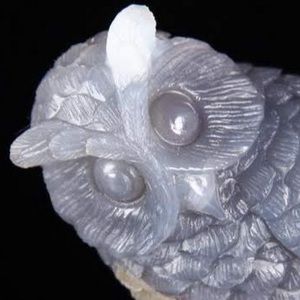 Meet your Posher, Linda